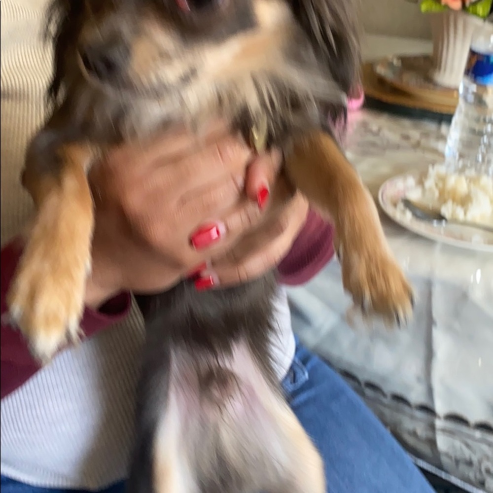 Meet your Posher, Erick rangel